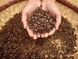 UMKM Kopi Kemasan Naikkan Harga Setelah Biaya Biji Melonjak
