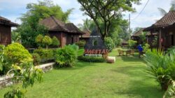Mengelola Homestay UMKM untuk Penghasilan Tambahan