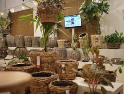Bisnis Furnitur Ramah Lingkungan dan Berkelanjutan
